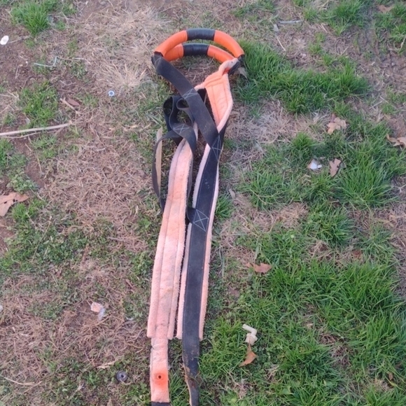 Orange and Black Horse Halter - Picture 1 of 2